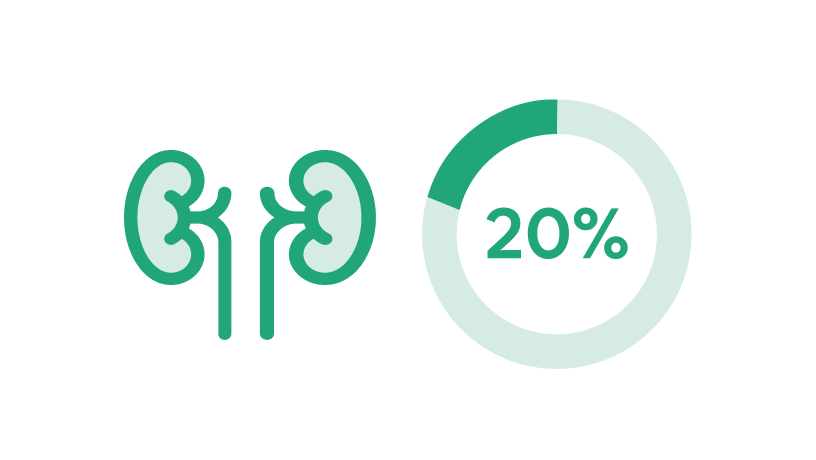 Icon of two green kidneys next to a circular progress chart outlined in green and light green according to the percentage, showing “20%” in text at the center.