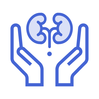 Icon of two open hands below kidneys, outlined in blue.