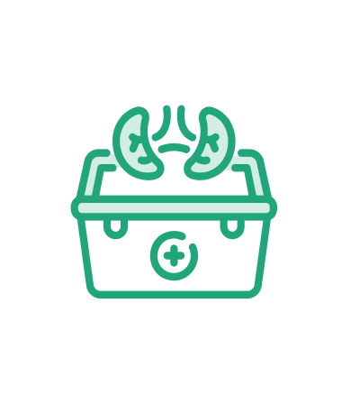 Icon of two kidneys above a medical box with a cross on the front, outlined in green.