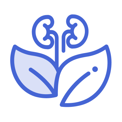 Icon of two leaves with kidneys connected above them, outlined in blue.