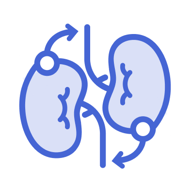 Icon of two kidneys with clockwise arrows, outlined in blue.