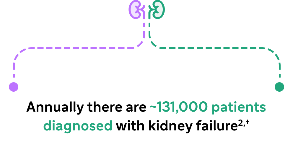 Two kidney icons, the left outlined in purple and the right in green, connected by dotted lines in matching colors. Text in the center reads, "Annually there are ~131,000 patients diagnosed with kidney failure2,†."