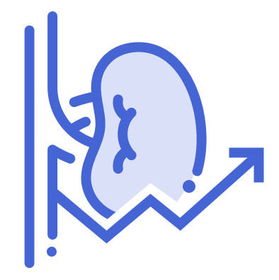 Icon of a right kidney connected to a renal artery with a trending arrow, outlined in blue.